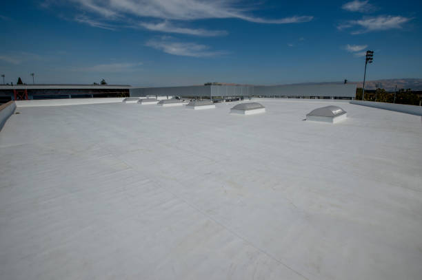 Best Green or Eco-Friendly Roofing Solutions  in Indian River Shores, FL
